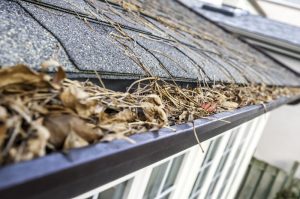 professional gutter clean